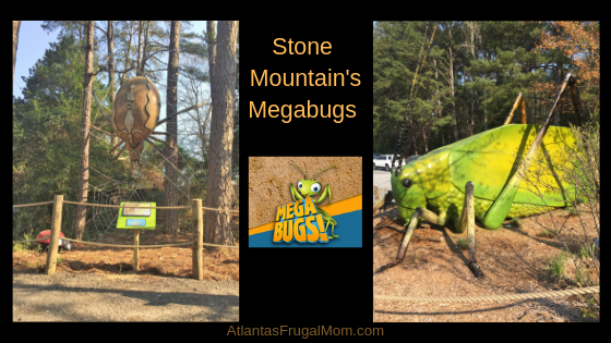 stone mountain megabugs